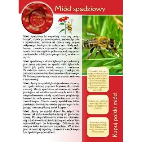 Ulotka informacyjna - miód spadziowy (20 szt) - wzór U3