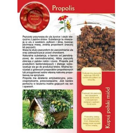 Ulotka informacyjna propolis (20 szt) - wzór U10