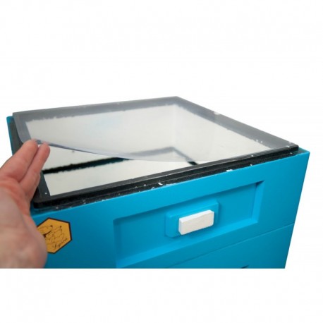 Arkusz winidurowy Wielkopolski, Ostrowskiej