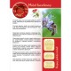 Ulotka informacyjna - miód faceliowy (20 szt) - wzór U15